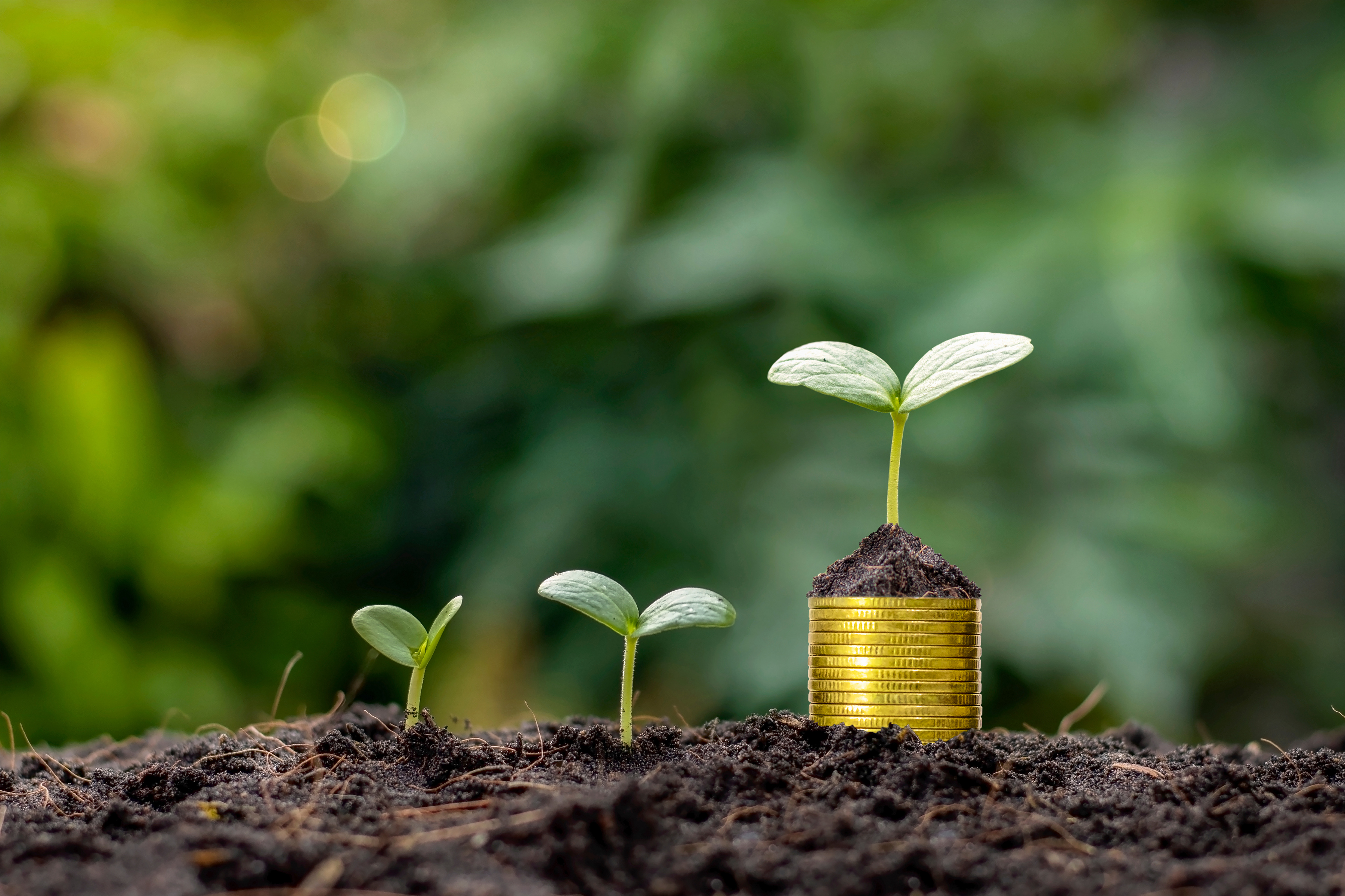 Analyse plus-value immobilière